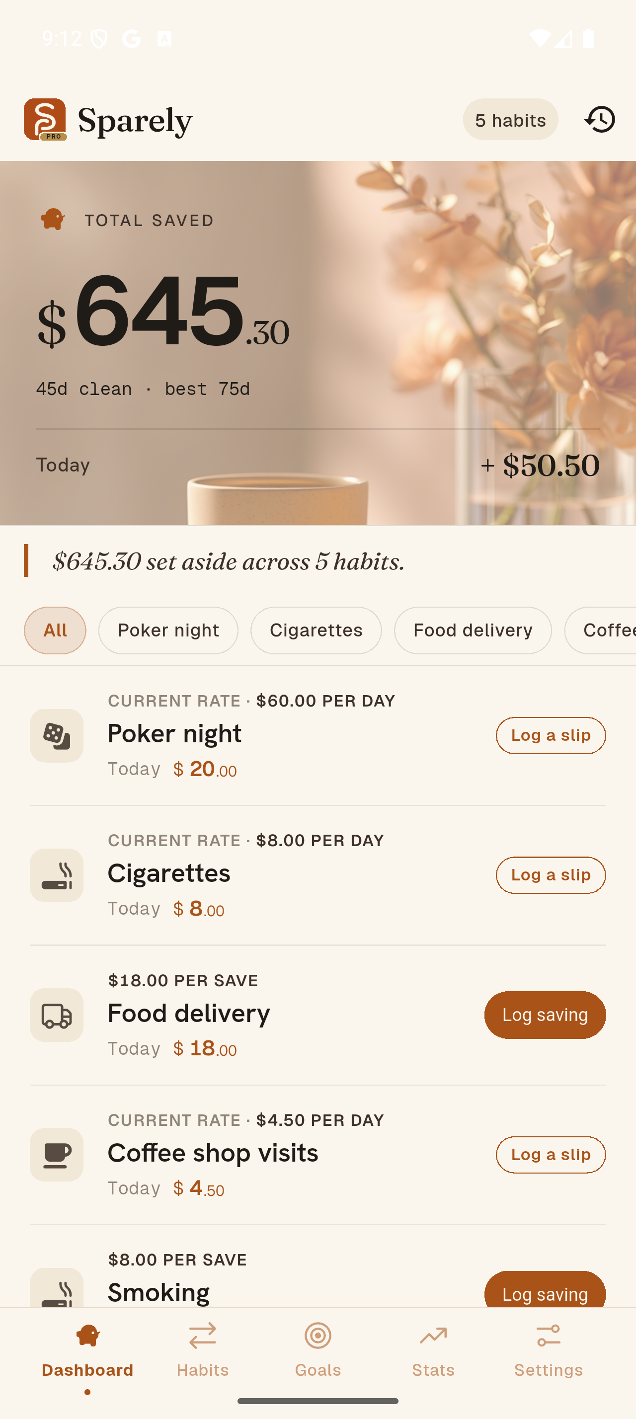 Preview of the Sparely savings ledger
