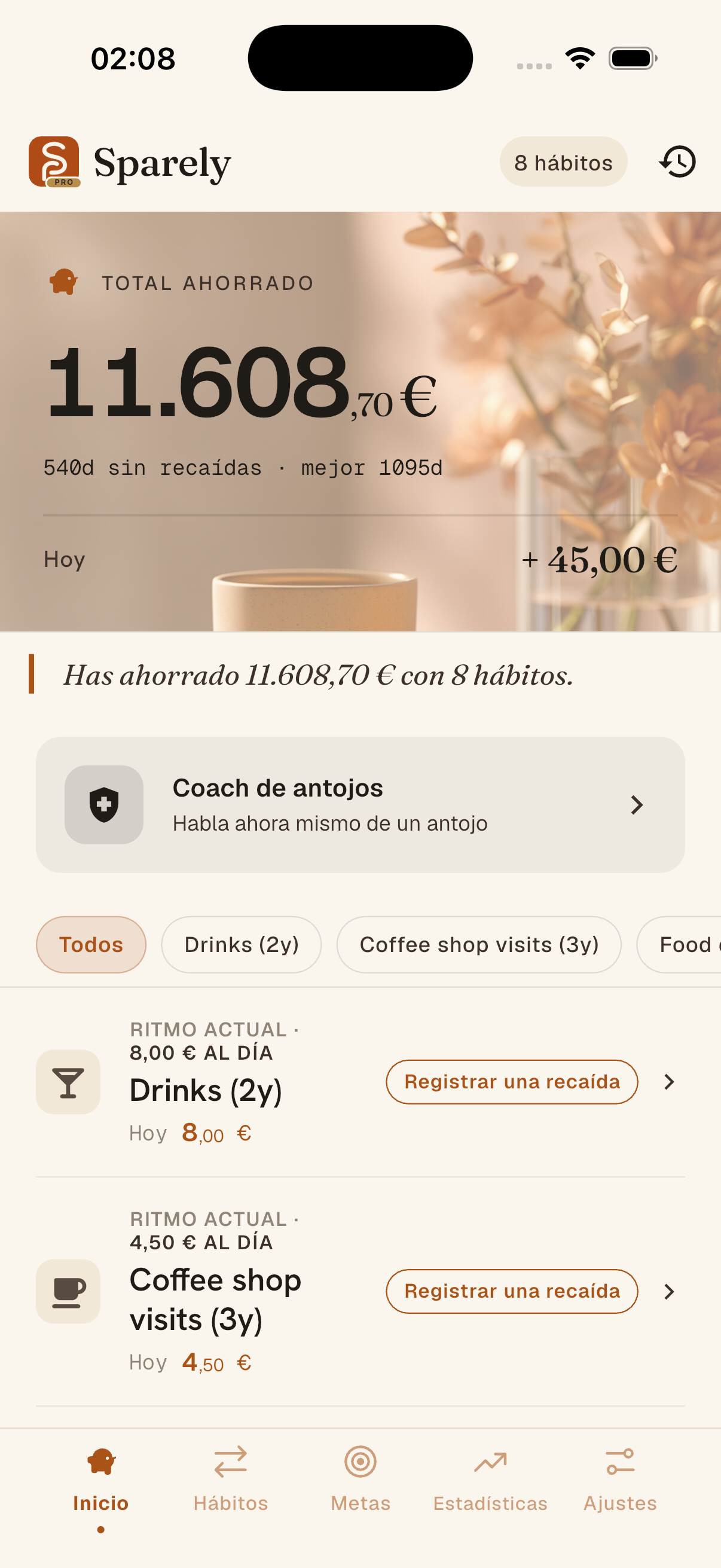Vista previa del libro de ahorros de Sparely