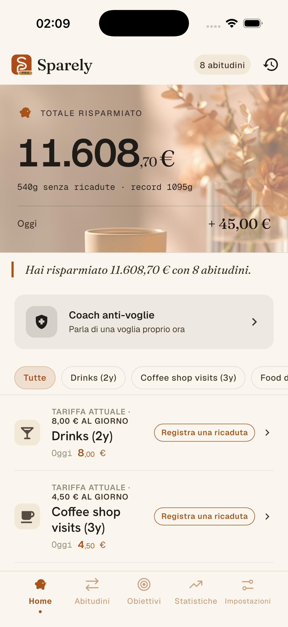 Anteprima del registro dei risparmi di Sparely